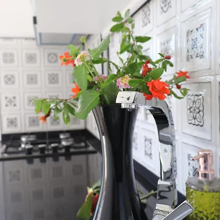 Blackwood Flava Cora Apartment Datca